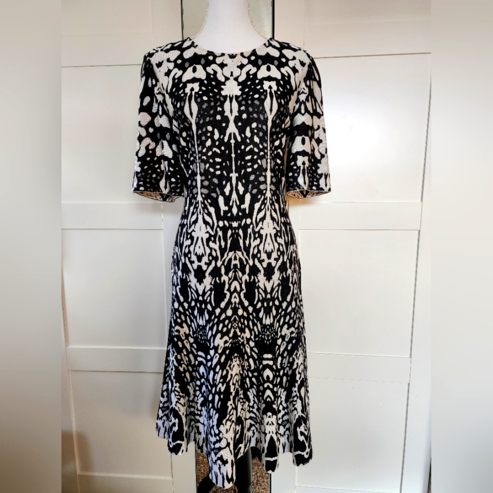 St John Dress 10
